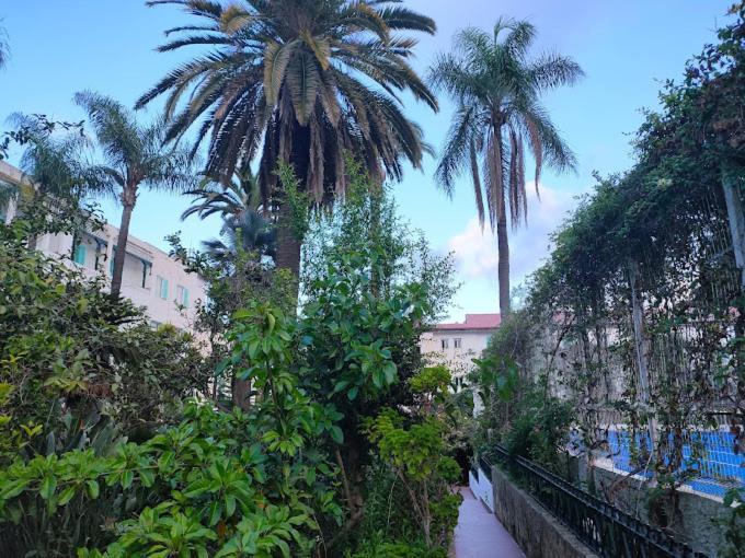Hotel El Djazair El Mouradia Bagian luar foto
